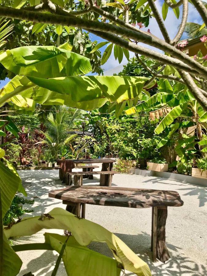Daisy Cottage Dhangethi Exteriér fotografie