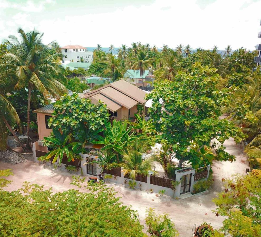 Daisy Cottage Dhangethi Exteriér fotografie