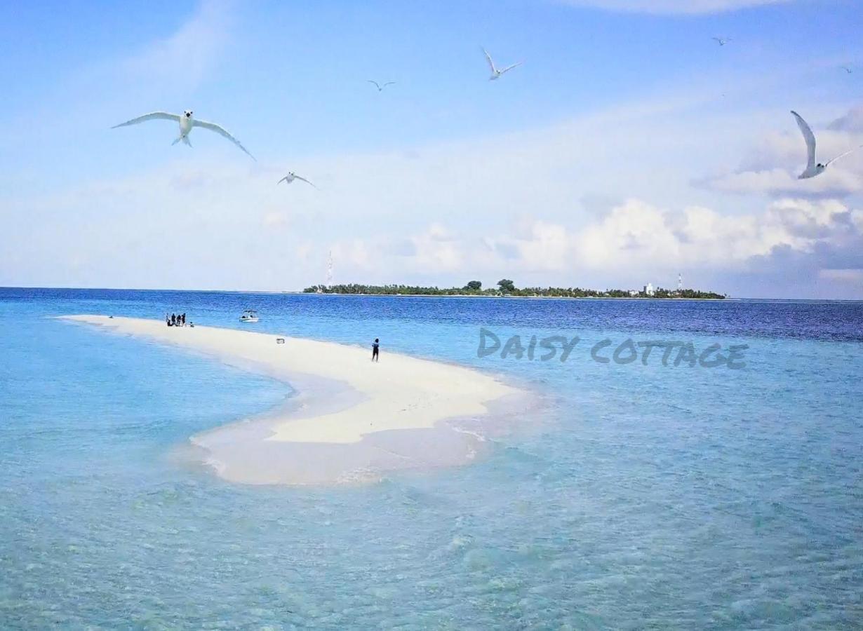 Daisy Cottage Dhangethi Exteriér fotografie