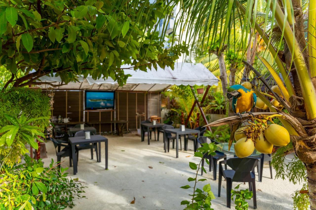 Daisy Cottage Dhangethi Exteriér fotografie
